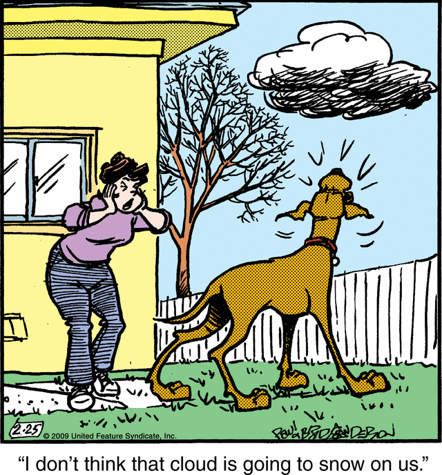 marmaduke
